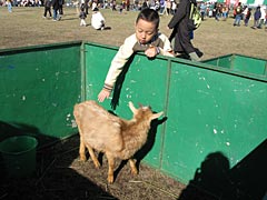 ミニ動物園も来たよ