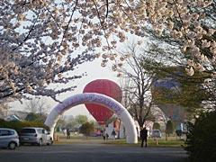 桜のアーチ