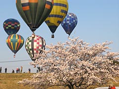 桜を越えて・・・