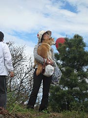 気球見えないから抱っこして~ワン!