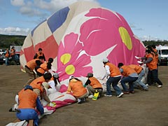 コスモス回収がんばるボランティアスタッフ