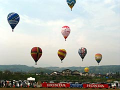 穏やかな五月晴れにバルーンはよく似合います