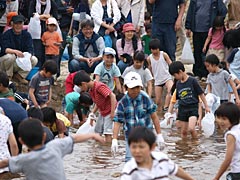 ジャブジャブ魚のつかみ取り