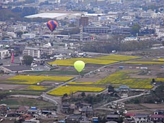 佐久市役所上空の花畑で・・・