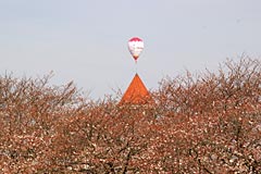 とんがり屋根にちょこんとシロクマ