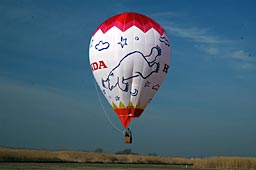 New Balloon