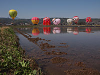 7機の係留気球 photo by TOMY