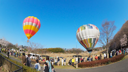 朝早くから行列が