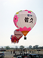 �M�C���̌W��